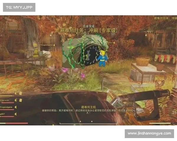 辐射76双弹伤害计算方法详解 辐射76双弹伤害计算方法详解